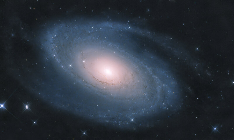 Bode's Galaxy - M81