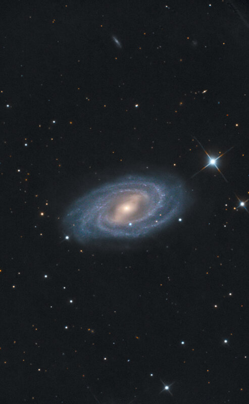 M109 - M109 / NGC 3992