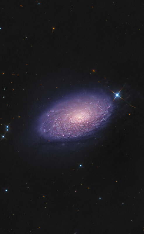 Sunflower Galaxy - M63